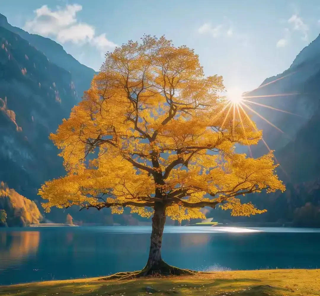 shahab dalton tweet media