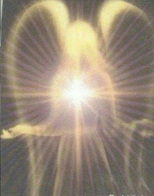 𝓥𝓲𝓬𝓽𝓸𝓻𝓲𝓪 tweet media