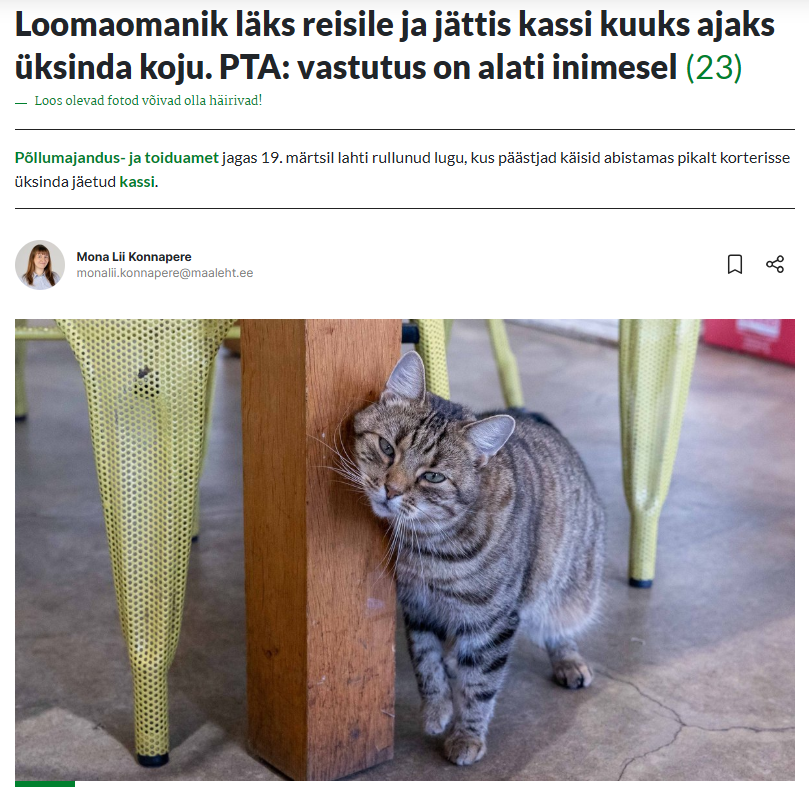 Suuorgan tweet media