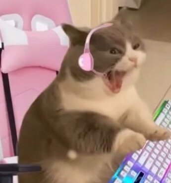 🦇🌌 𝐀𝐫𝐢𝐑𝐢𝐫𝐢 ~ 🔞 ~ 𝐄𝐍𝐕𝐭𝐮𝐛𝐞𝐫 🌌🦇 tweet media