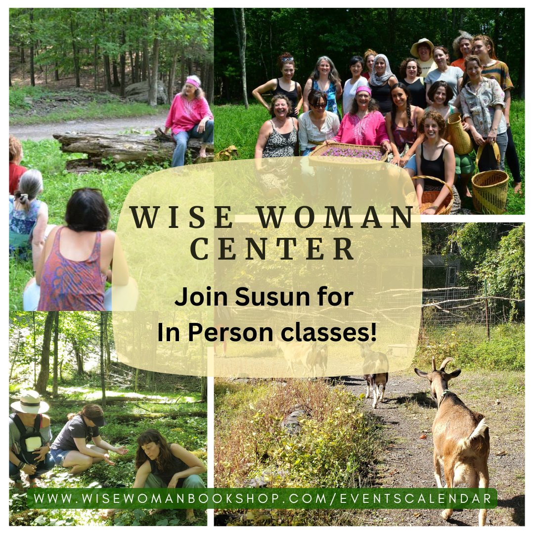 susunweed's tweet photo. 🌱 Learn in person with Susun at the Wise Woman Center.  🌱

It's Spring! That means classes, workshops, work exchanges and more!

🌱
See Full schedule and get registered now: 
https://t.co/yNAt3cmekZ 
🌱 https://t.co/g1lKq3yida