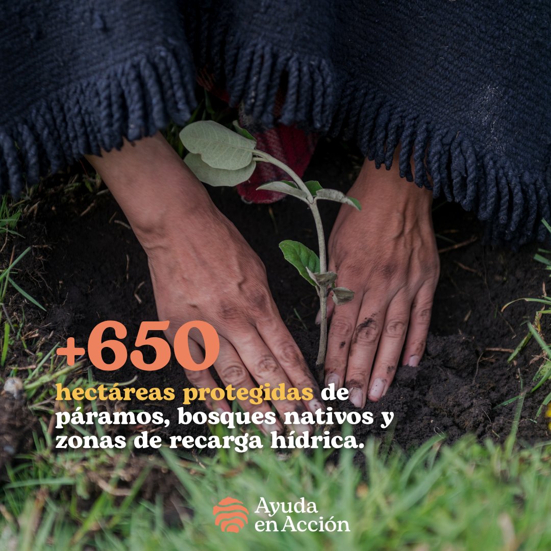 Ayuda en Acción Ecuador (@ayudaenaccionec) / Posts / X