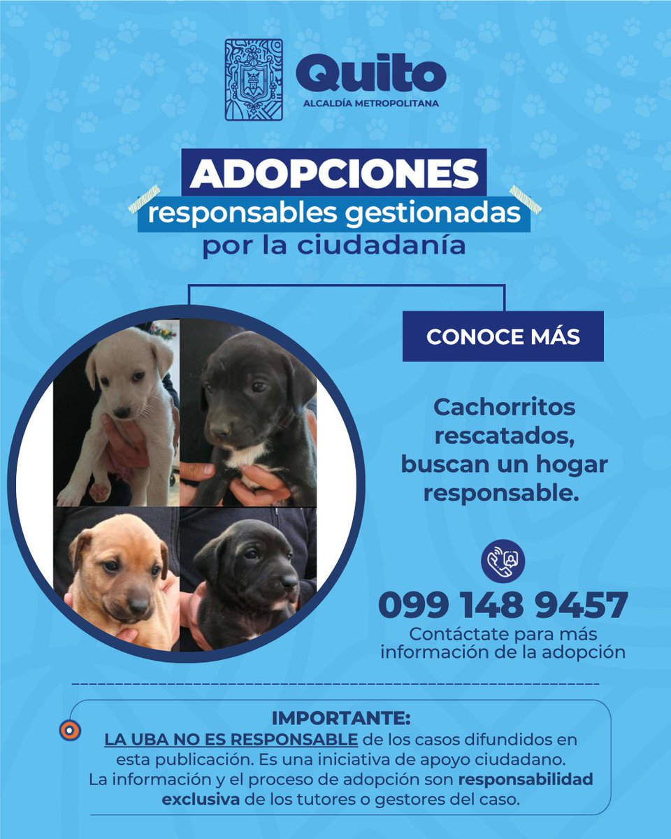 Unidad de Bienestar Animal Quito tweet media