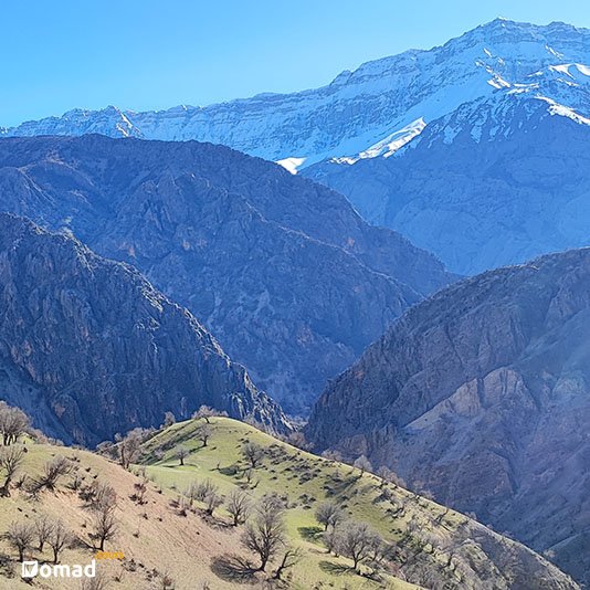 Tehran Tadhg tweet media