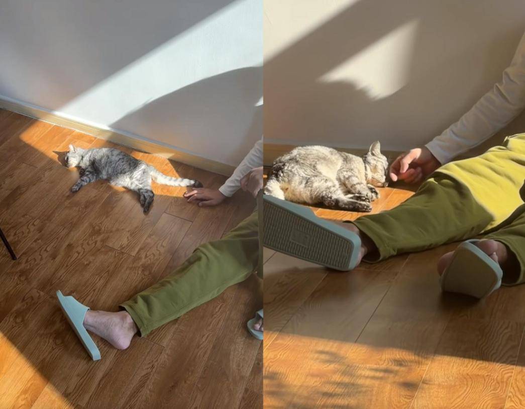 Maria Vitman tweet media