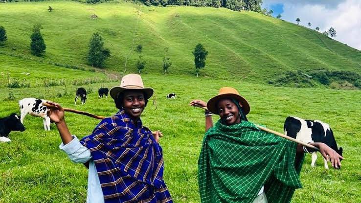 JescaKent71858's tweet image. *⛺️⛺️✈️You could choose Rwanda if it’s primates and culture… see why 😊*

🌐roadsofadventuresafaris.com/tours/7-days-r…

📧 mailto:info@roadsofadventuresafaris.com
instagram.com/roadsofadventu…

 #RwandaSafari #GorillaTracking #CultureMeetsWildlife #Primates #RwandaTourism #SafariStory #AfricaAwaits