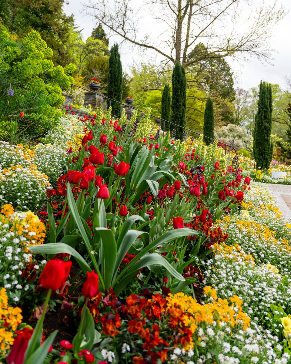 euroconnection's tweet photo. Happy Spring from Euro-Connection! 🌷✨
Your direct link to the heart of Europe:
https://t.co/15eSmQGBuT
1 (800) 645-3876 (EURO)
#MainauIsland #LakeConstace #GermanyTravel #SpringInEurope #FlowerGardens #TulipSeason #EuroTravel #TravelInspiration #BotanicalGardens

🌷🇩🇪✨ https://t.co/zqpGq72eL6