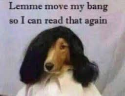 doctor victor von gloom ⛈️✨ tweet media