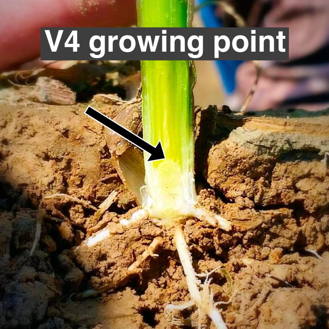 Erick Larson tweet media