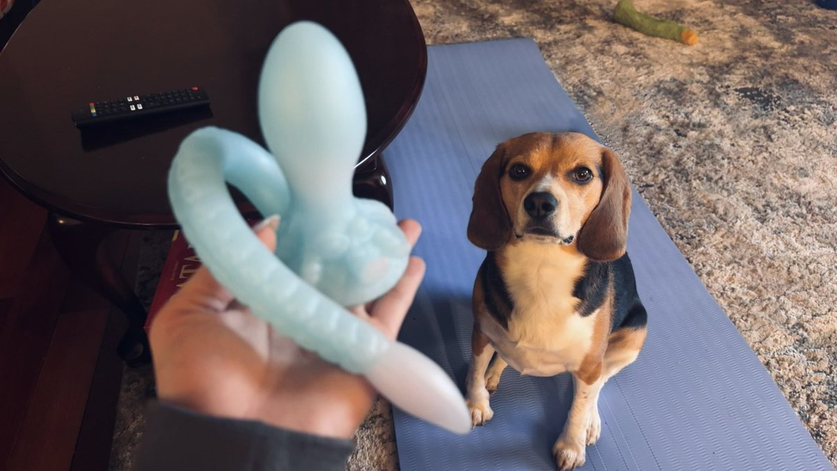 jubes♡ tweet media