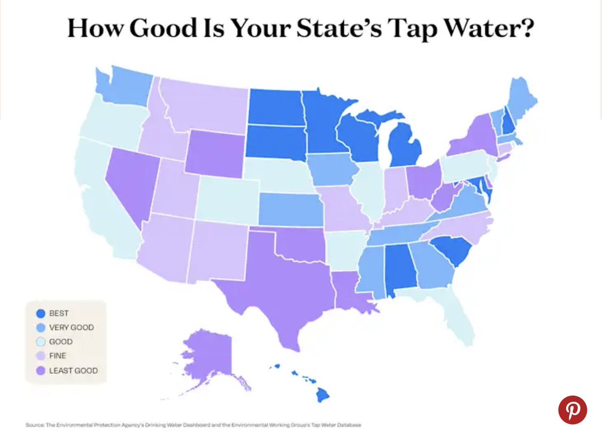 Wanjiru Njoya tweet media