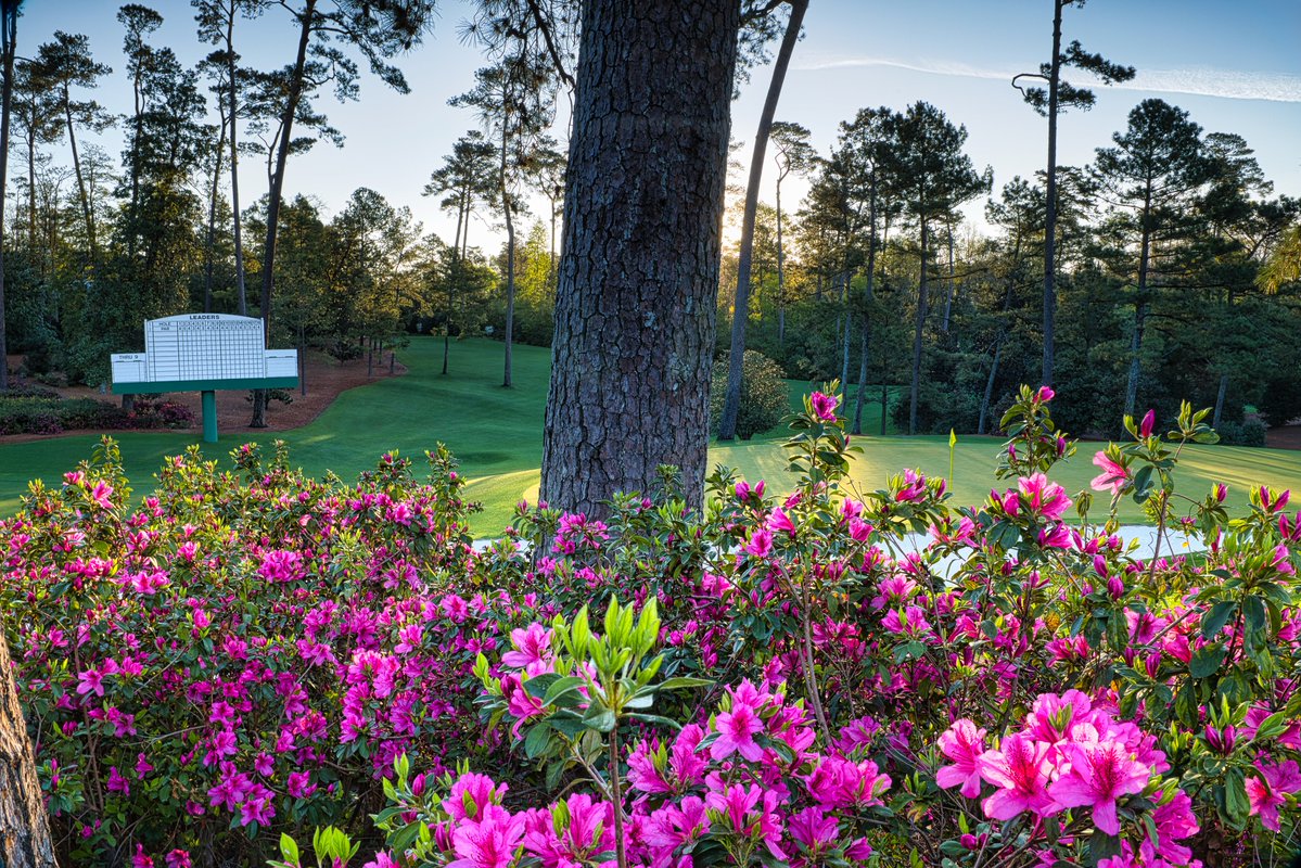 The Masters tweet media