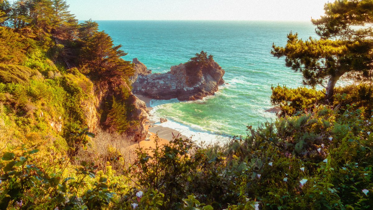 Jeff Mihaly tweet media