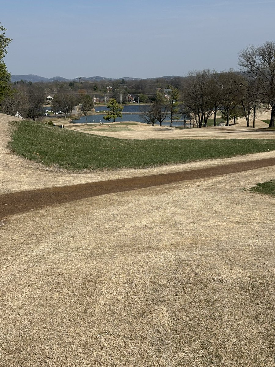 Chad Anderson tweet media