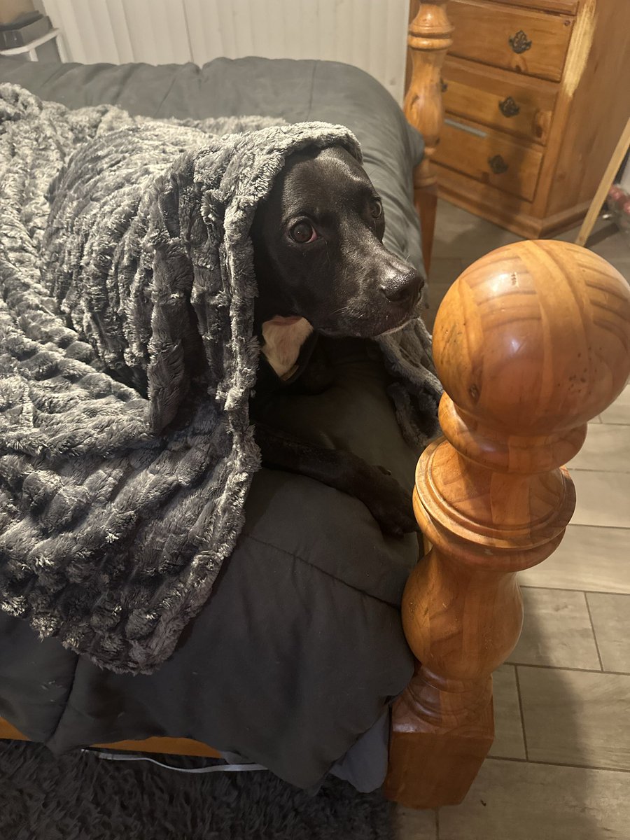 Jaime FNP tweet media