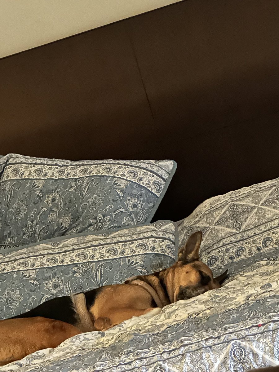 Jaime FNP tweet media