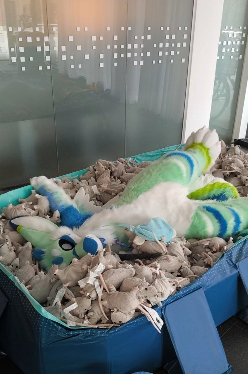 ⟡Kip⟡🌿 tweet media