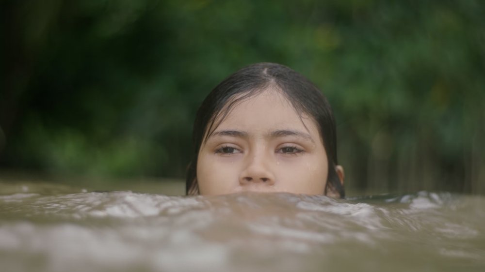 Arthur Gadelha tweet media