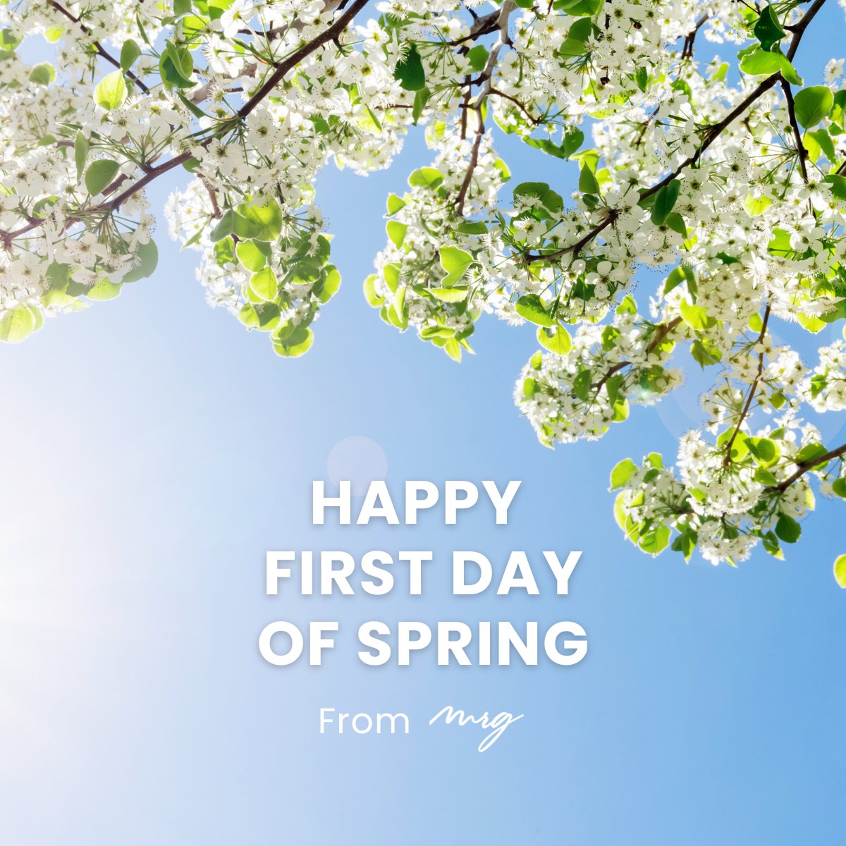 MRG Michigan tweet media