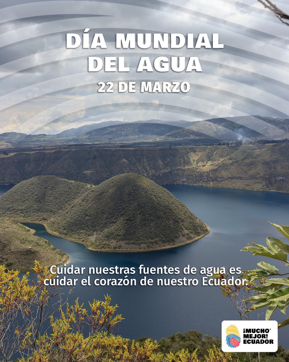 Mucho Mejor Ecuador tweet media