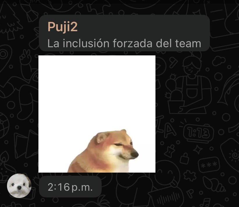 MaryBlog tweet media