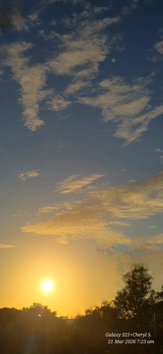 Cheryl Scheffer tweet media