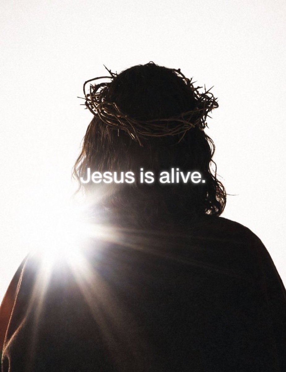 Aesthetic.Guyy tweet media