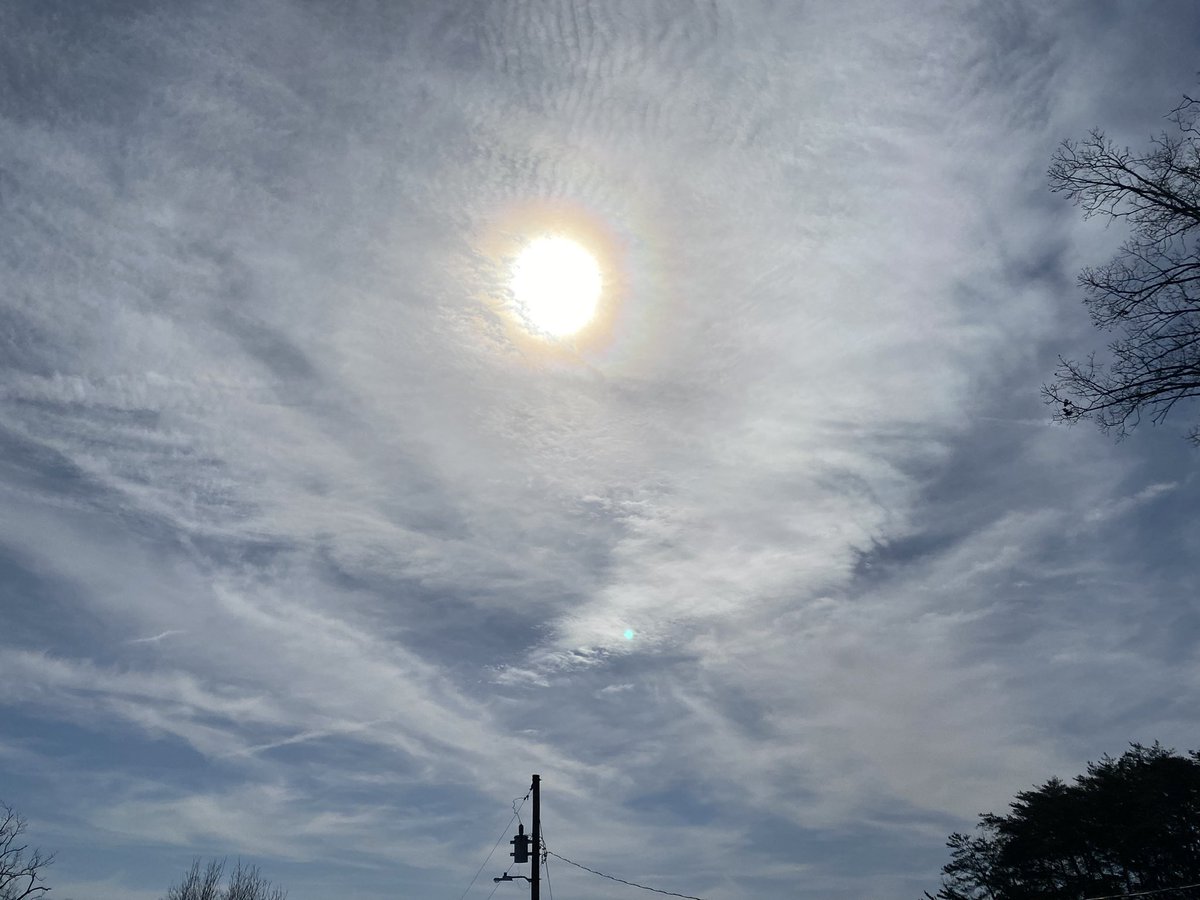 Springtucky tweet media