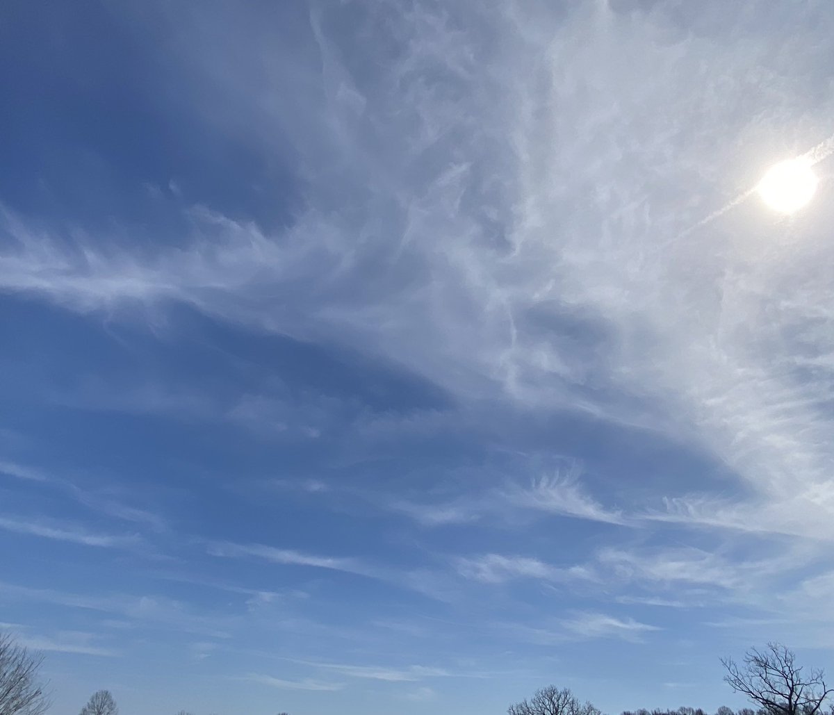 Springtucky tweet media