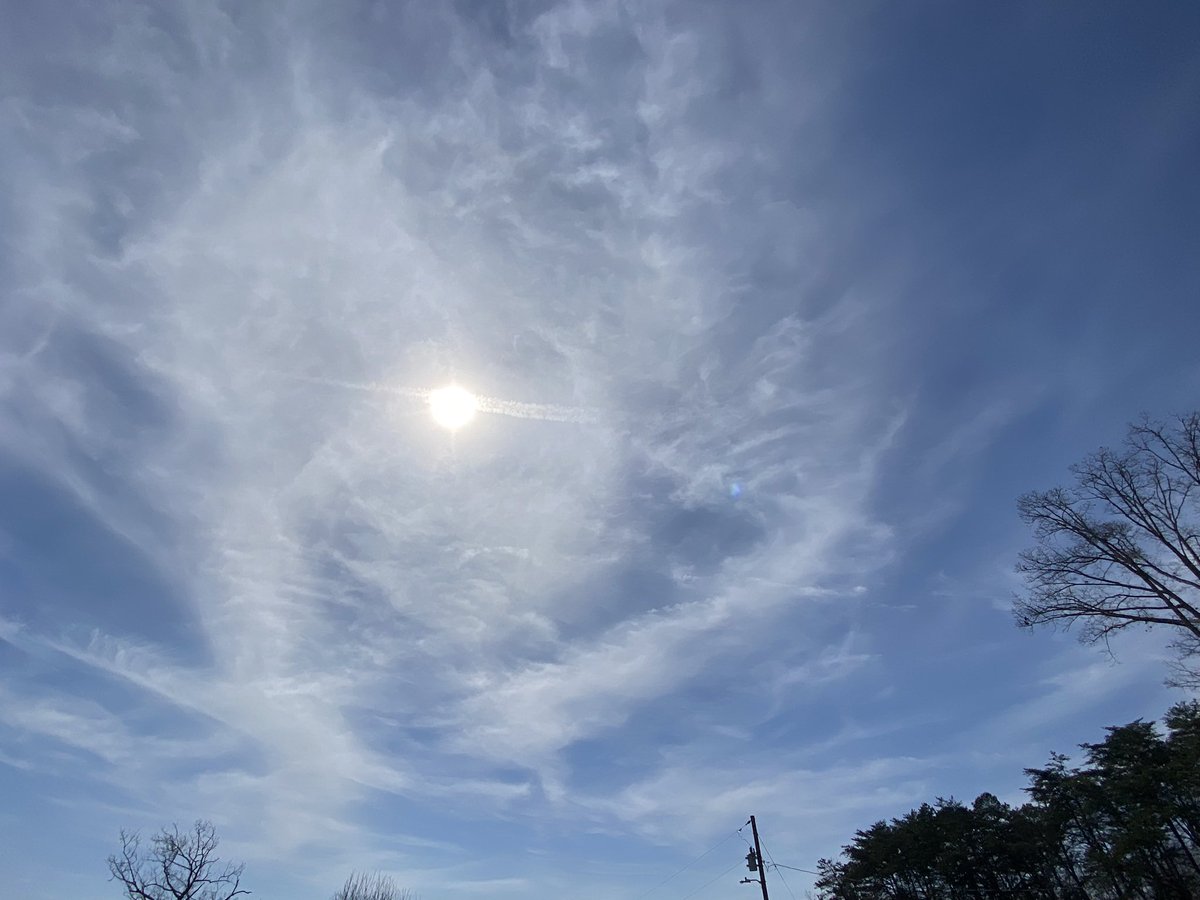 Springtucky tweet media