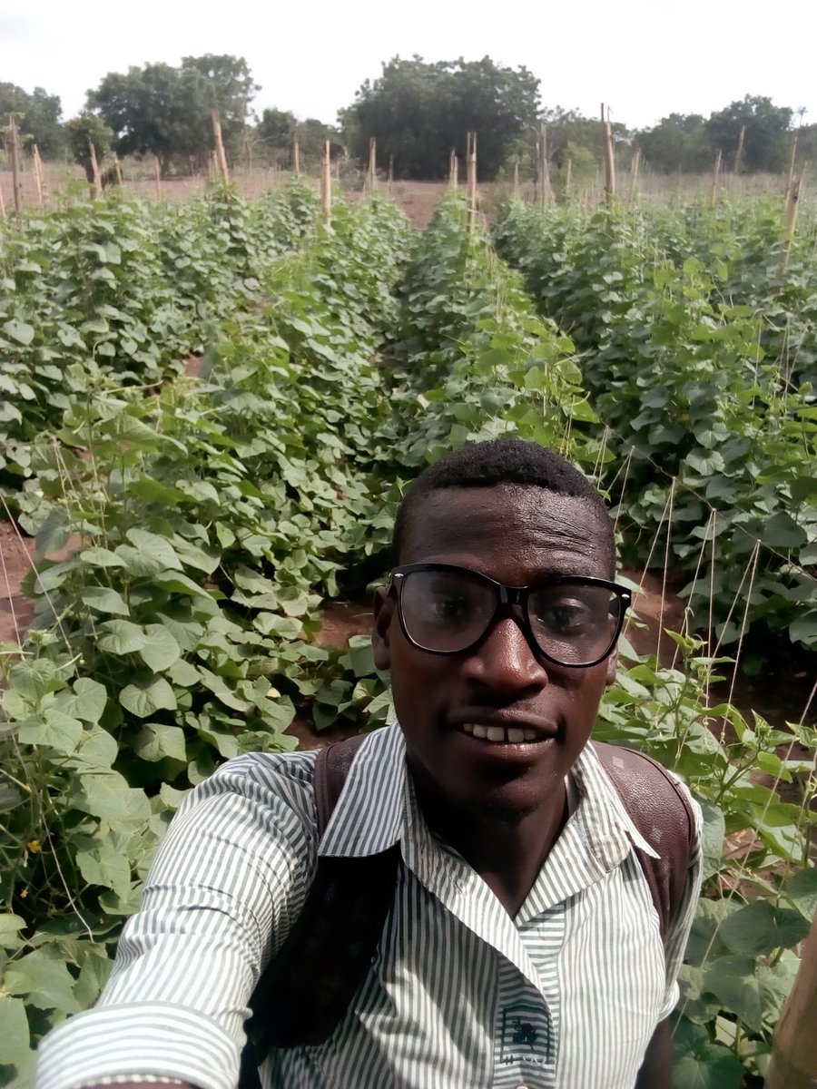 The Flyingfarmer tweet media