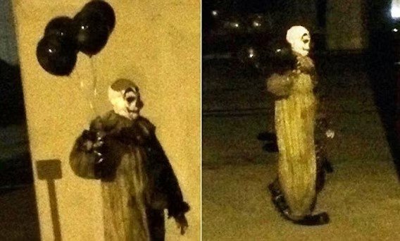 Wayne Shempner tweet media