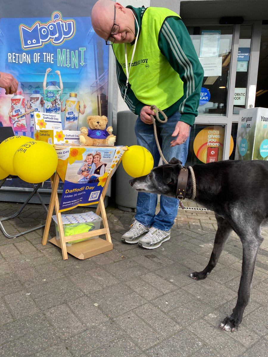 Lorraine O'Sullivan tweet media