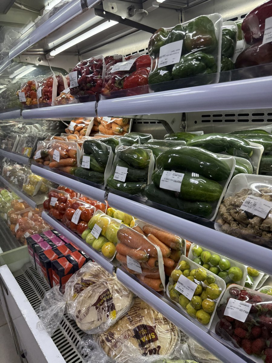 Adinofx 🔥 tweet media