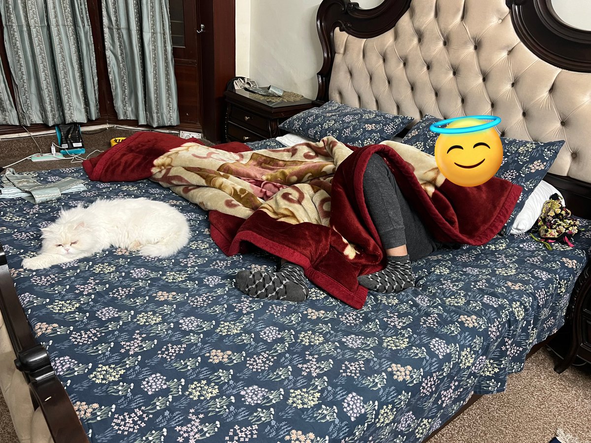 zalaahhhh's tweet photo. All set for tomorrow i guess #ChandRath https://t.co/GMPyaHGxyu