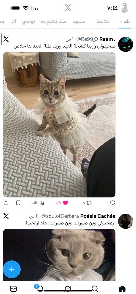 سمَا tweet media