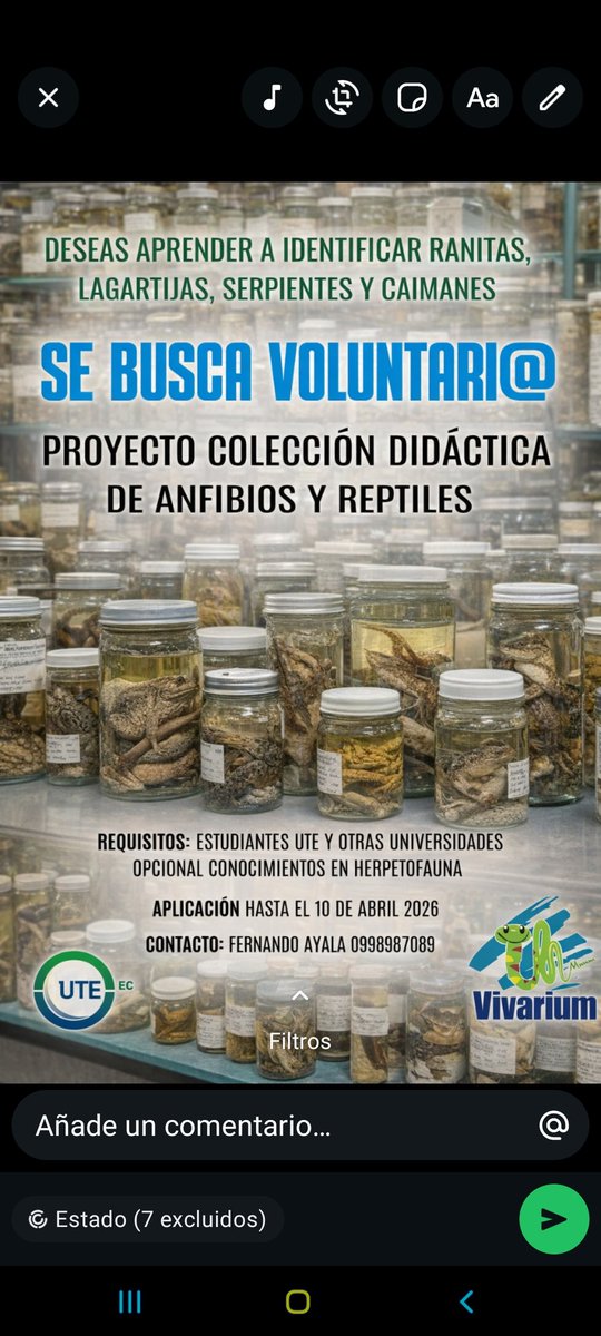 Fernando Ayala tweet media