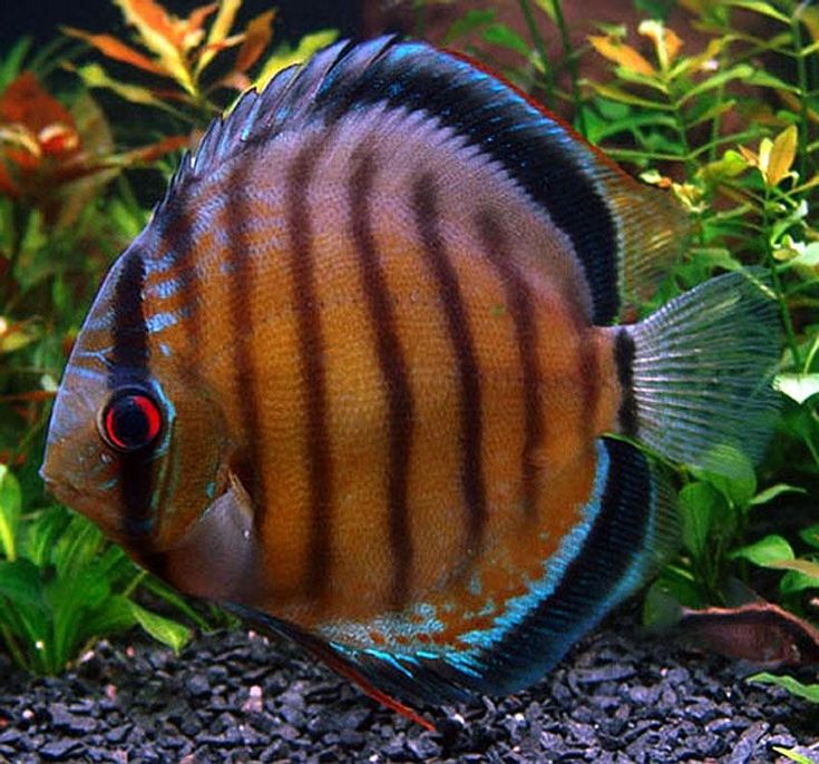 ليز💤 tweet media