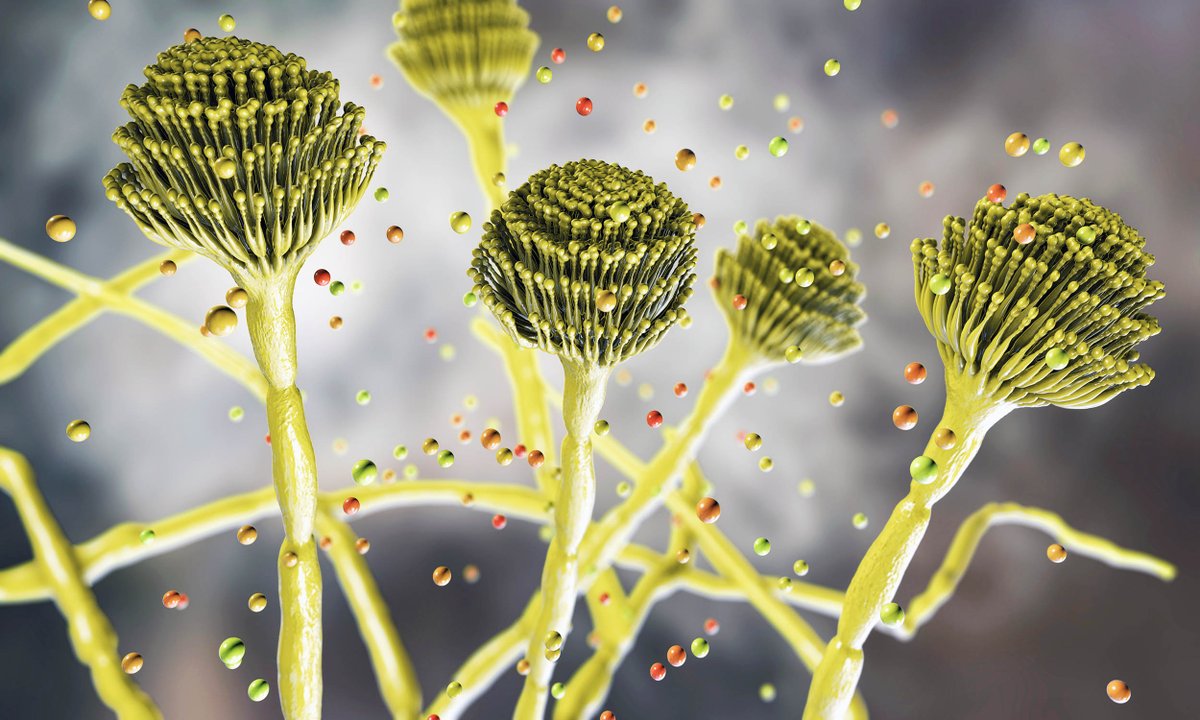 Earth.com tweet media