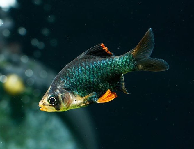 ليز💤 tweet media