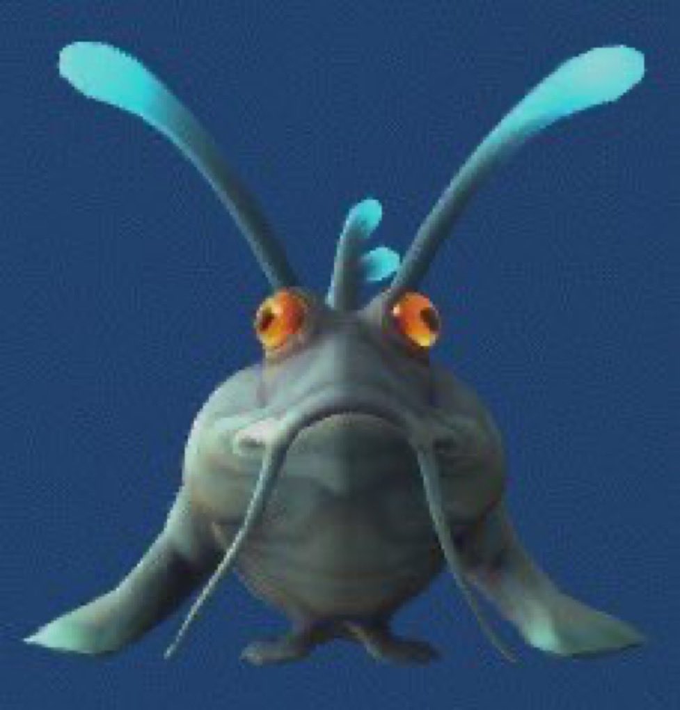 ant 🧜‍♀️ tweet media