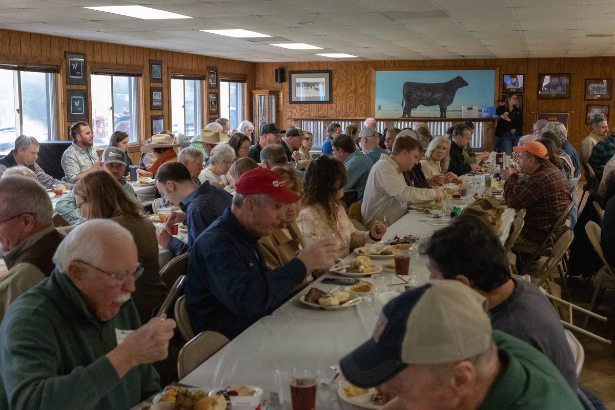 Russet Perry tweet media