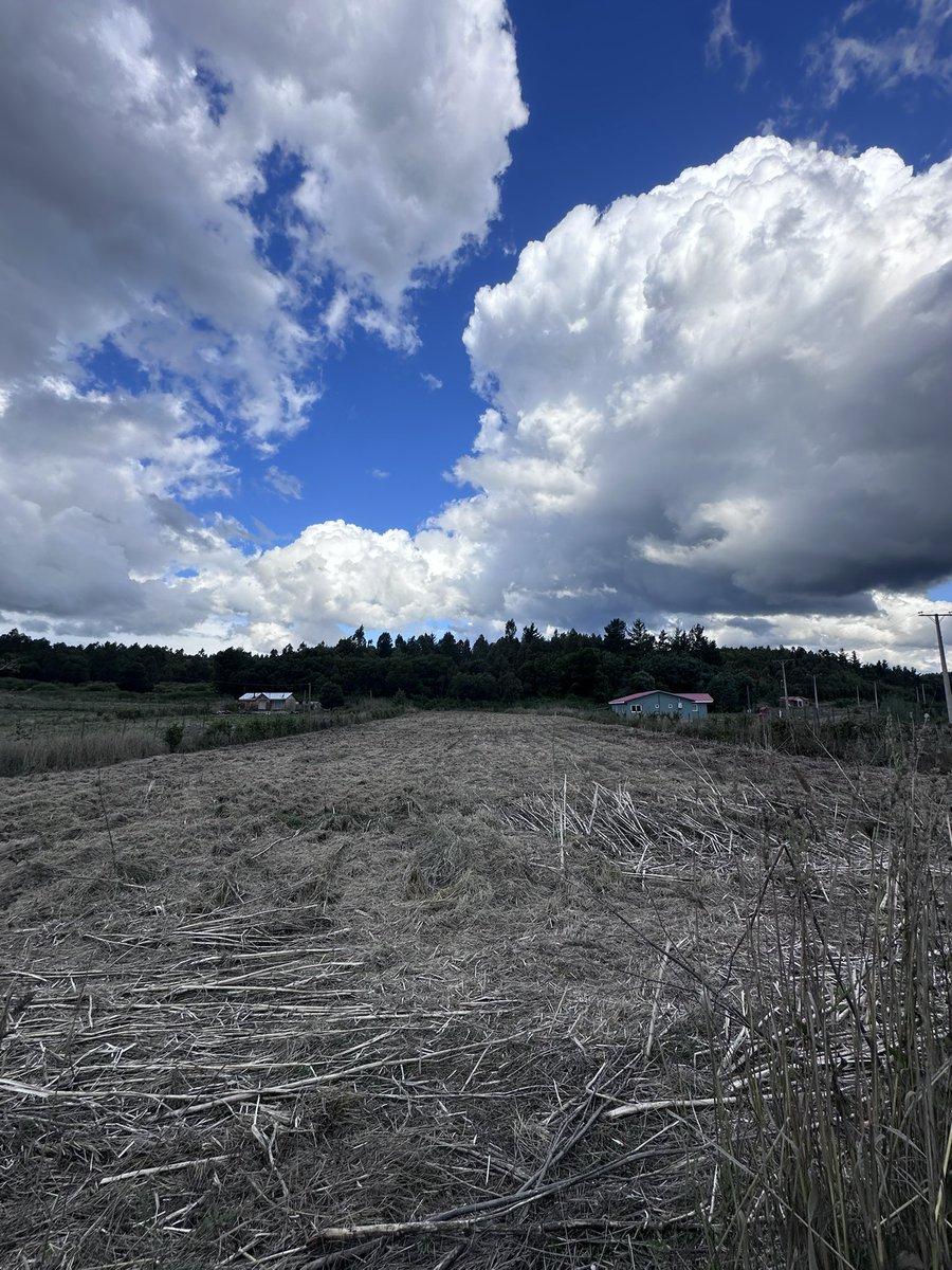 Meme 🧉 tweet media