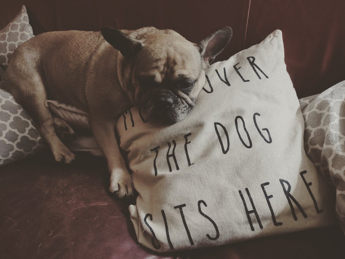 Whale Psychiatrist ™️ tweet media