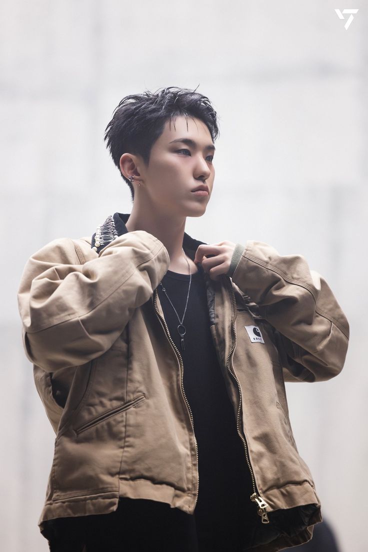 hourly hoshi tweet media