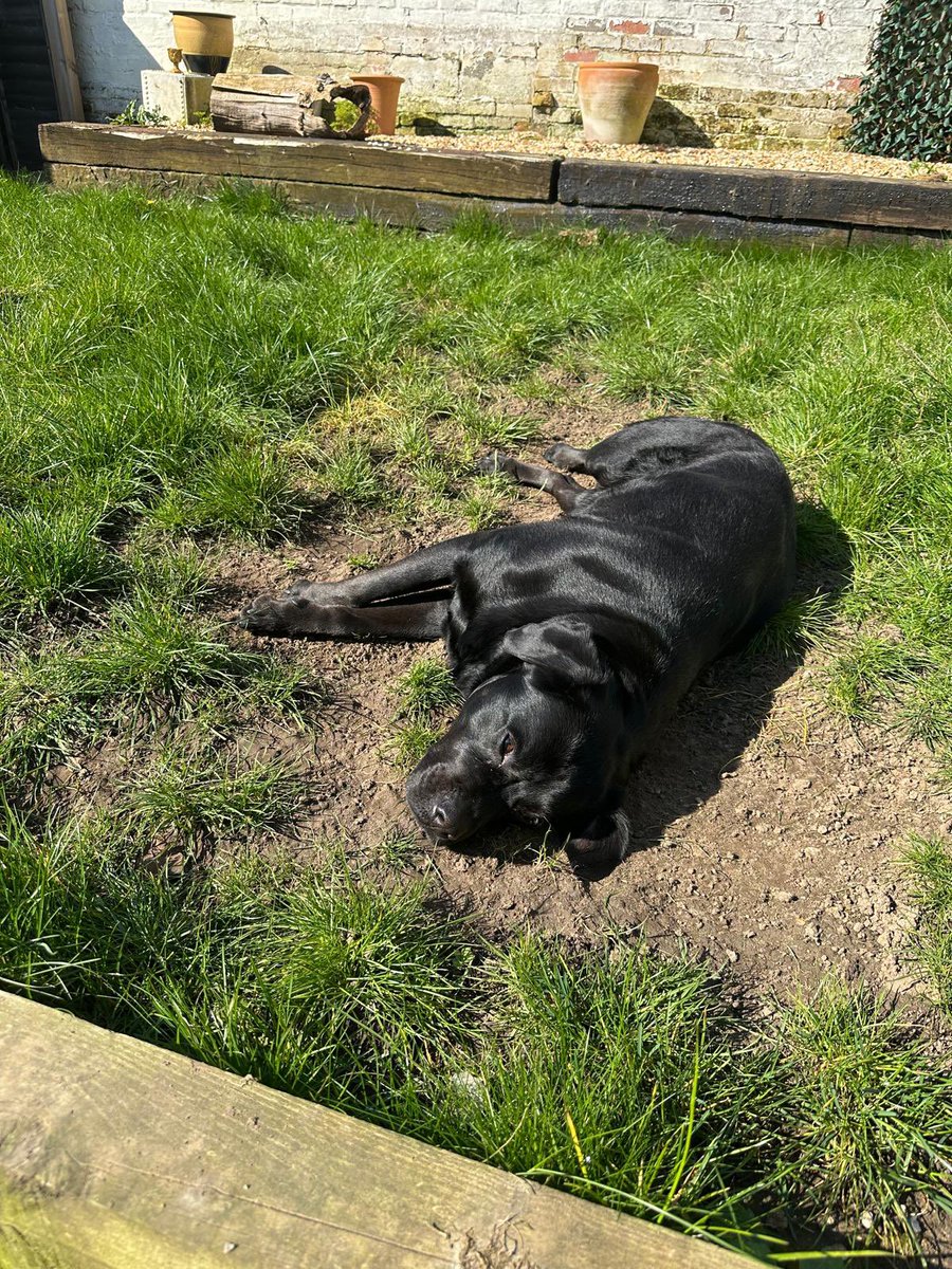 Jonny G 🇺🇦 tweet media