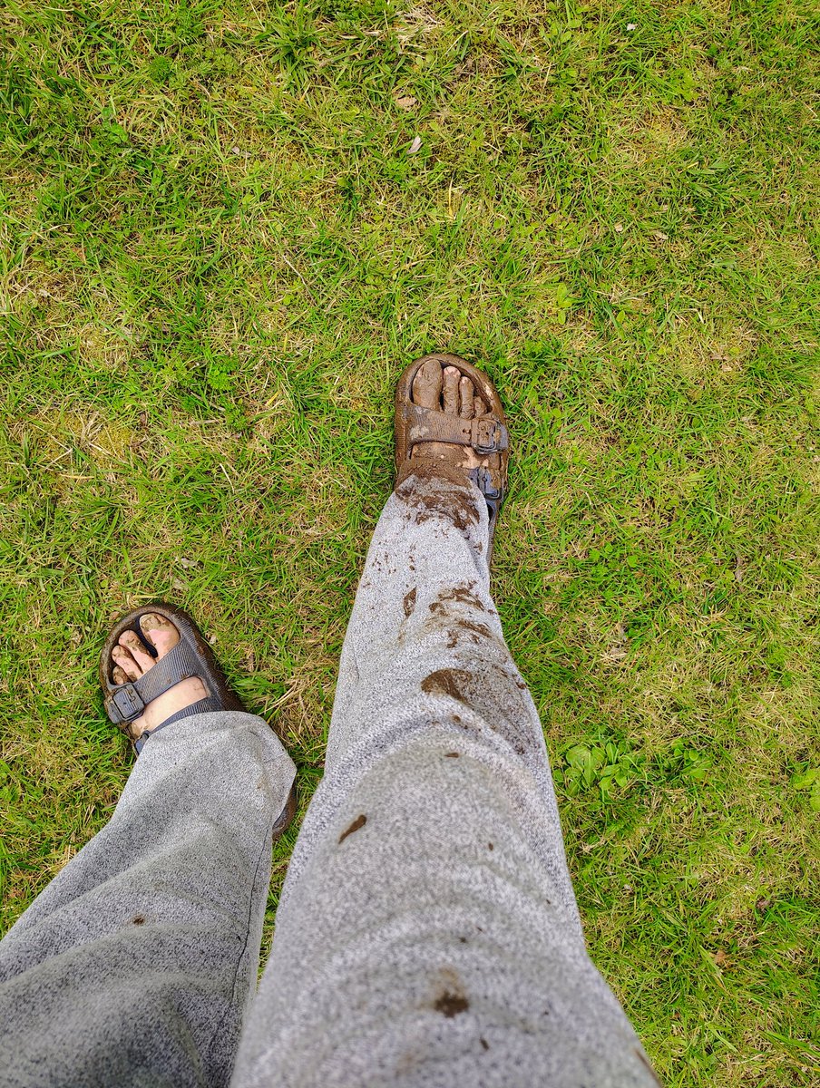swordorsorcery's tweet photo. This is what I get for wearing sandals to help with the cow fence 🤣 https://t.co/vYqGZZBV3Y