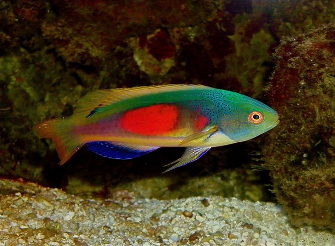 ليز💤 tweet media