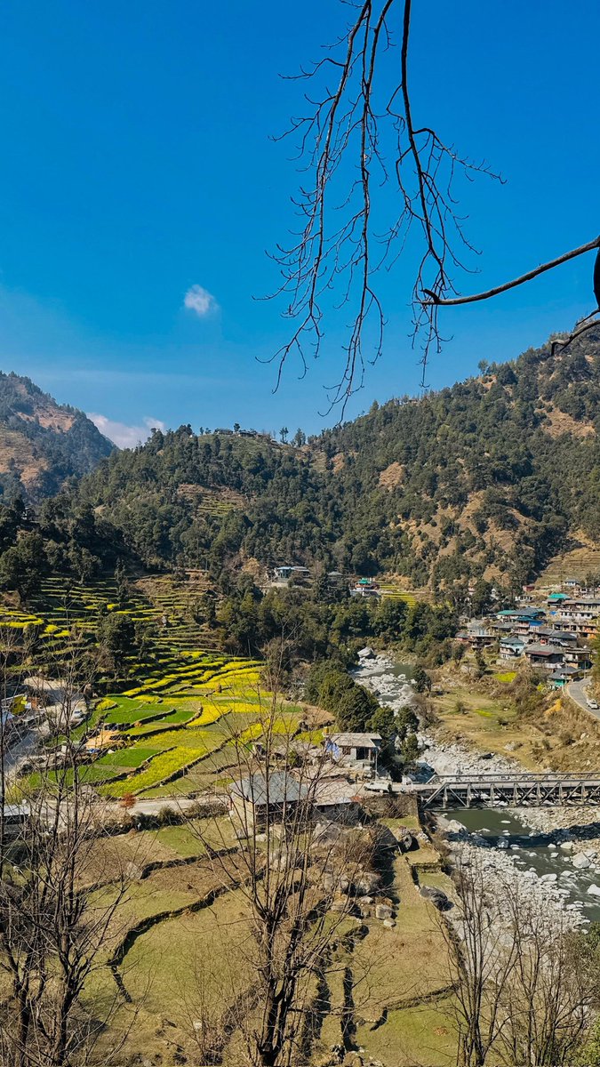 Amit Jha tweet media