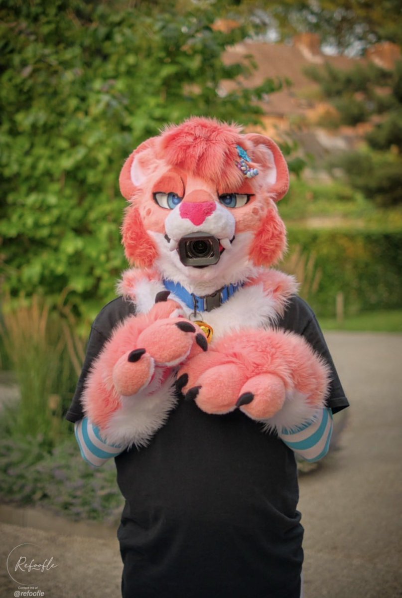 Mac_Attack9 tweet media